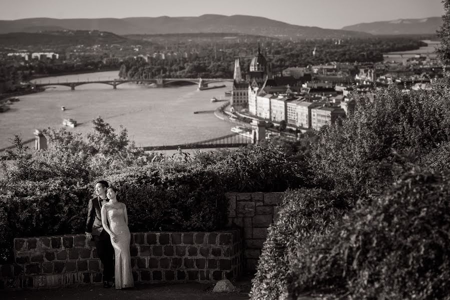 Wedding photographer Bence Pányoki (panyokibence). Photo of 25 February 2017