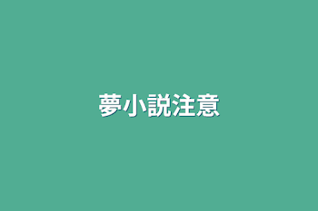 夢小説注意