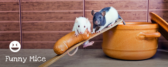 Funny Mice HD Wallpapers New Tab marquee promo image