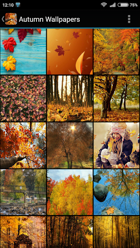 Autumn Wallpapers