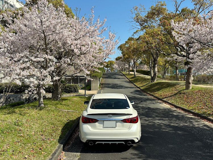 スカイラインのスカイライン・400R・サクラと愛車・桜とコラボに関するカスタム事例の投稿画像3枚目