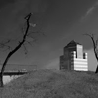 Un albero di trenta piani di 