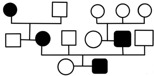 Pedigree Analysis