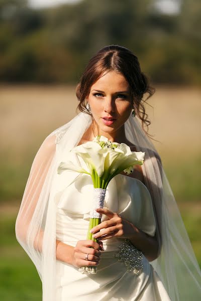 婚礼摄影师Andrey Likhosherstov（photoamplua）。2014 1月20日的照片