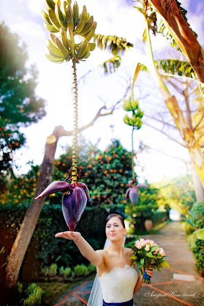 Düğün fotoğrafçısı Andrey Konovalov (weddingrus). 30 Mayıs 2014 fotoları