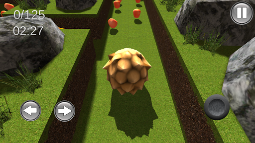 Hedgehog Forest Stroll 3D