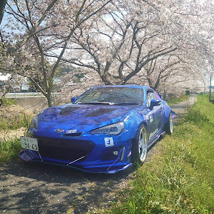 BRZ ZC6