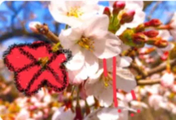 行ったら必ず不幸になる公園   〜朔宵公園編〜