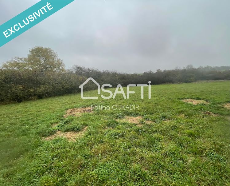 Vente terrain  9999 m² à Audun-le-Roman (54560), 265 000 €