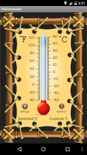 Thermometer