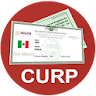 CURP MEXICO Enlace Consulta icon