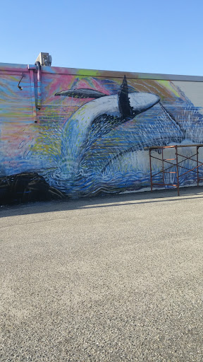 Aquatic  Mural 