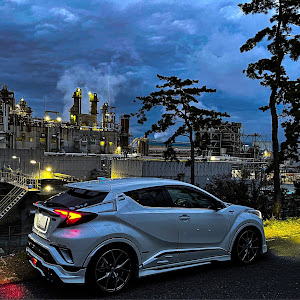 C-HR ZYX10