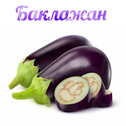 Баклажан 1.0 Icon