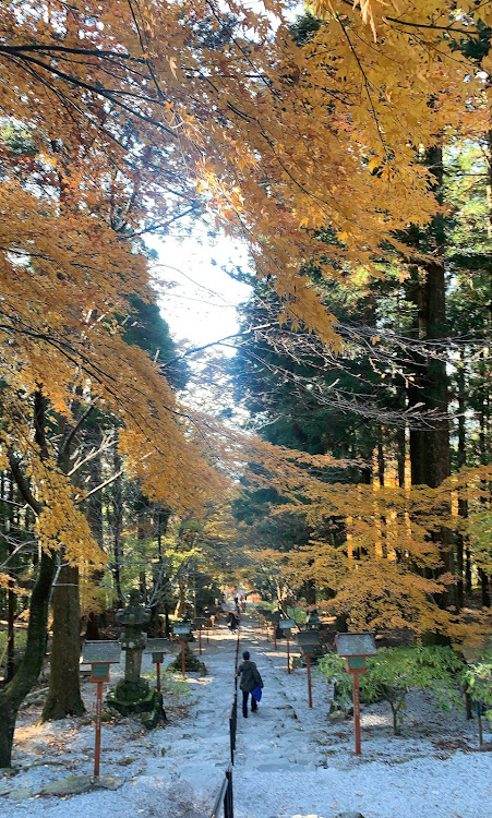 ムーヴカスタムの紅葉ドライブ・日田焼きそば・英彦山の紅葉・英彦山神宮に関するカスタム事例の投稿画像13枚目