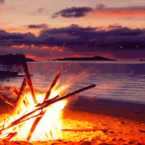 Beach Fire Live Wallpaper