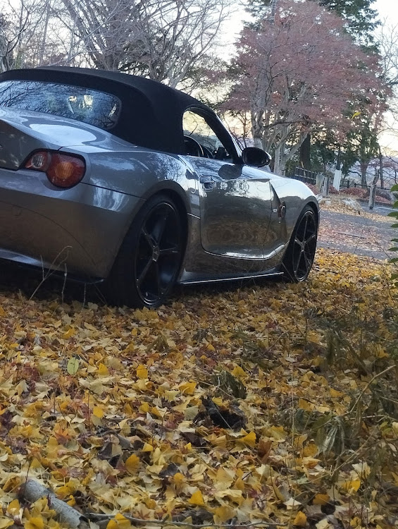 Z4 ロードスターの紅葉・黄葉・落葉・レッドカーペット・イエローカーペットに関するカスタム事例の投稿画像2枚目