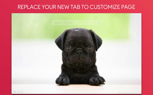 Cute Pugs Tapet HD Custom Ny Fane