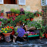 Colori di un Estate di 