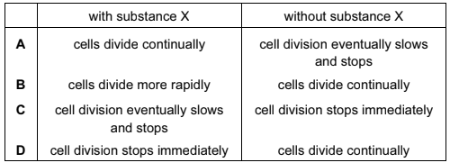 DNA replication