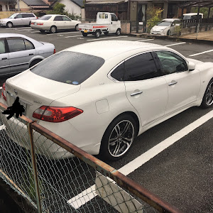 フーガ Y51