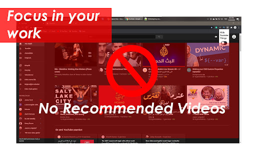 Hide Youtube Reccomendations