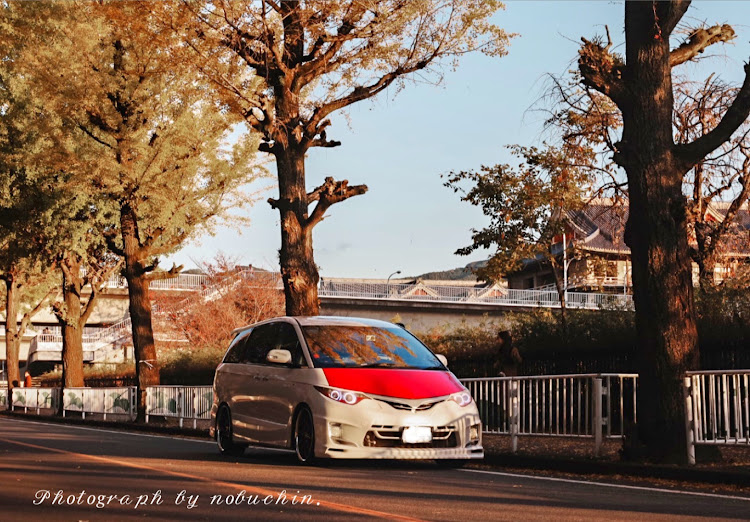 エスティマのカレンダーに載ってみたい・エスティマが好きやねん・紅葉と愛車・銀杏並木に関するカスタム事例の投稿画像1枚目