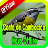 Canto de Cambacica Novo Offline