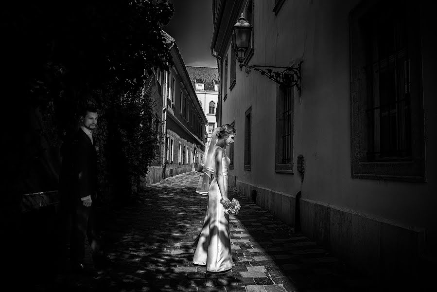 Vestuvių fotografas Melinda Guerini (temesi). Nuotrauka 2016 rugsėjo 6