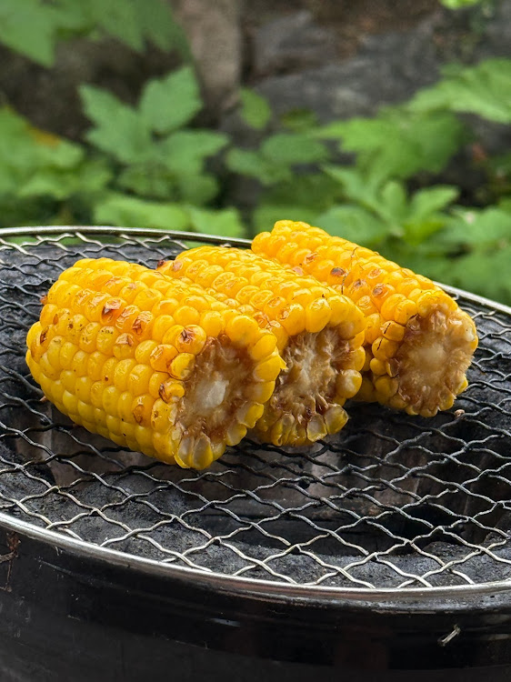 Eクラス セダンの七輪BBQ・クルマ談義・メルセデス・ベンツ・ボルボ・昼飲み最高に関するカスタム事例の投稿画像6枚目