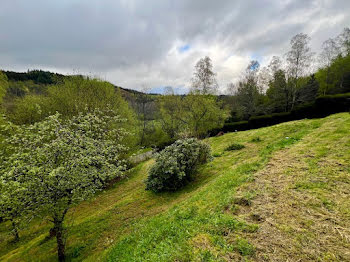 maison à Saulxures (67)