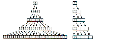 Differentiation, Dedifferentiation and Redifferentiation