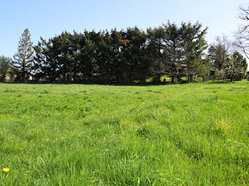 terrain à Saint-Bonnet-les-Oules (42)