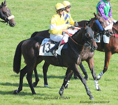 Prix du Président de la République 2015 (St., Hand., Auteuil) 19-04 : Saint Pistol EzCwC75XUO5Uu00ANLtRxz_8dItORnCBXVmFrH7quk3J=w239-h214-p-no