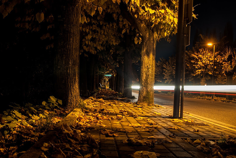 Passeggiata Autunnale di dendrolago89