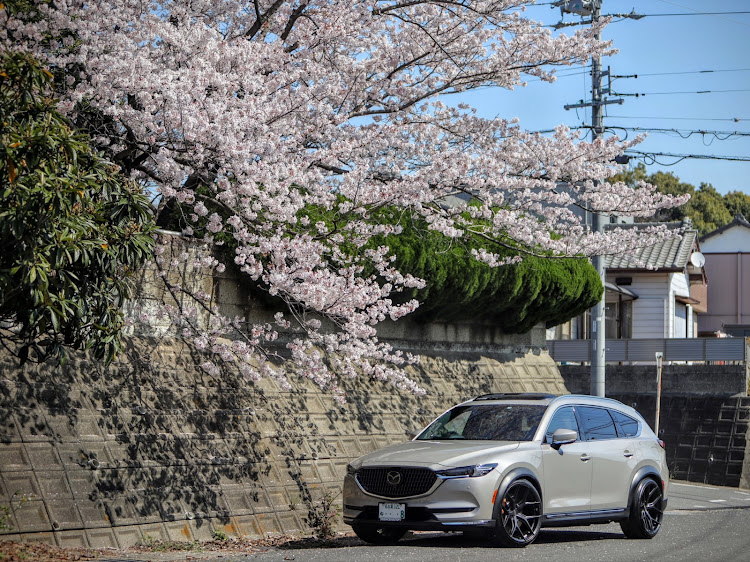 CX-8の桜とコラボ・サクラと愛車・vossenのある風景・NITTO INVO・桜に関するカスタム事例の投稿画像3枚目