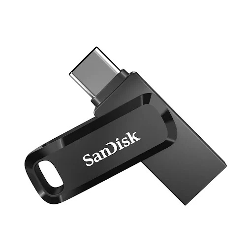 USB 256GB SANDISK SDDDC3-256G-G46