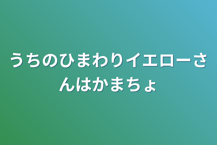 「うちのひまわりイエローさんはかまちょ」のメインビジュアル