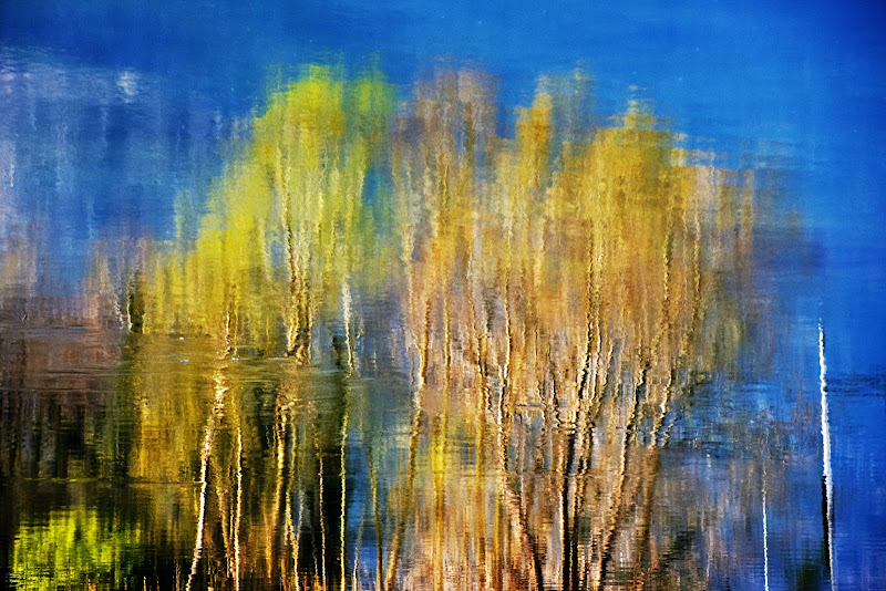 Impressionismo nell' acqua di laura62