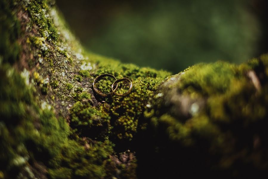 Fotograf ślubny Anna Svetlichnaya (svetlichnaya). Zdjęcie z 26 lipca 2018