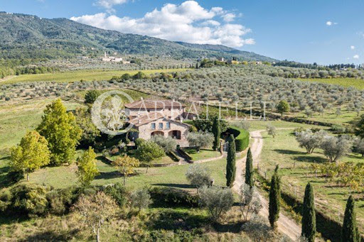 Luxury farmhouse for sale in Reggello (Italy) - Stone house with garden and vineyards