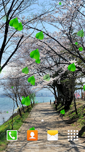 櫻花動態壁紙(圖3)-速報App