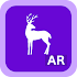 Wildlife AR - ARCore1.0