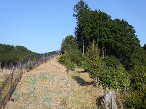 奥が登山道