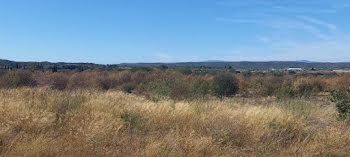 terrain à Ferrals-les-Corbières (11)