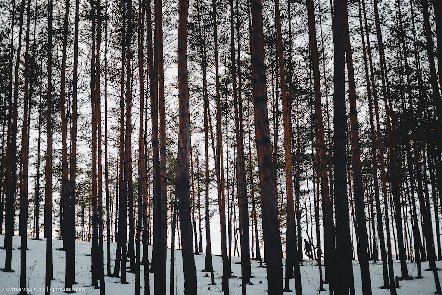 Fotografer pernikahan Pavel Rtischev (rtishevpavel). Foto tanggal 17 Januari 2015