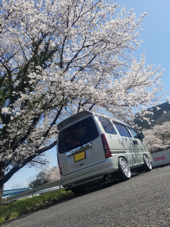 サンバー ディアス バンの桜・桜とコラボ🌸・桜とコラボ・サクラと愛車に関するカスタム事例の投稿画像2枚目
