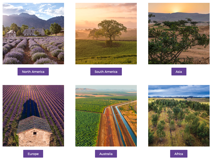 Young Living Global Farms