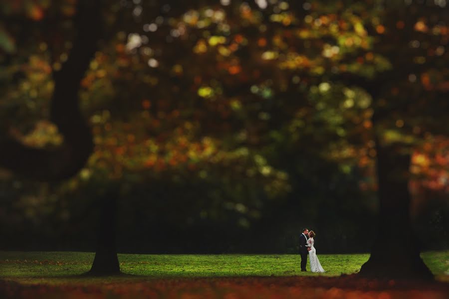 Huwelijksfotograaf Krystian Gacek (krystiangacek). Foto van 10 oktober 2015