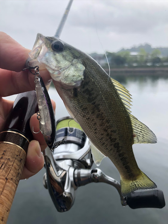 レガシィツーリングワゴンのドライブに関するカスタム事例の投稿画像26枚目